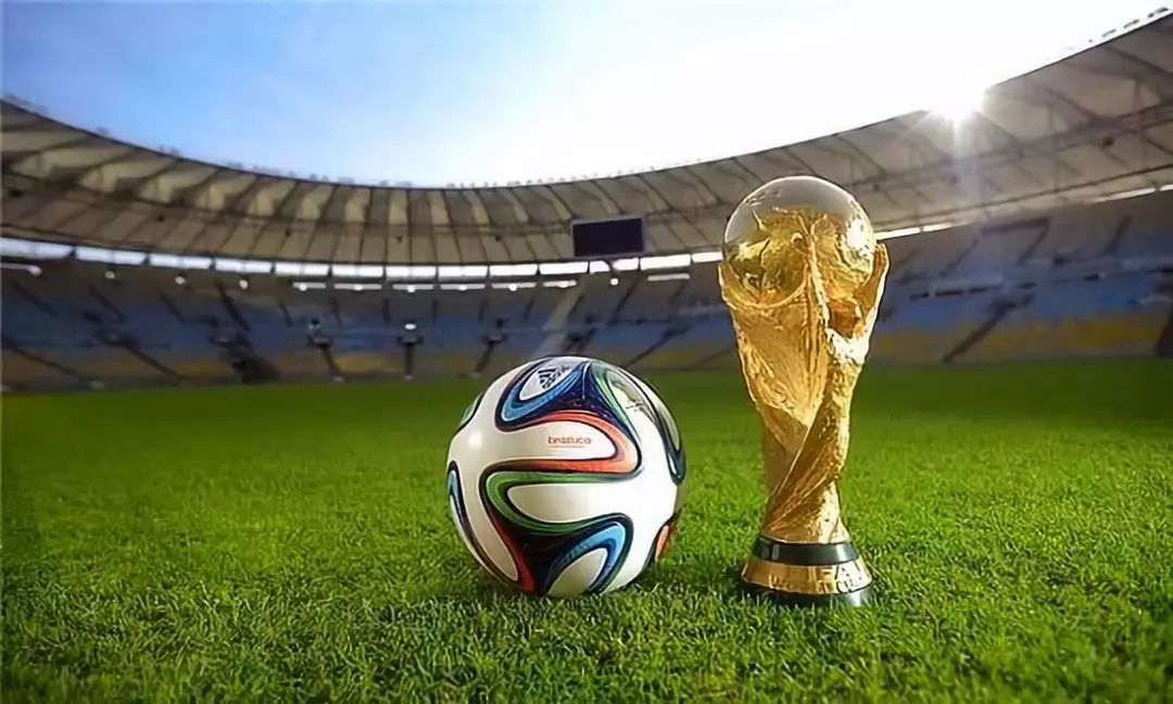 米体：布雷默正在逐步增加训练强度，目标对阵博洛尼亚时复出