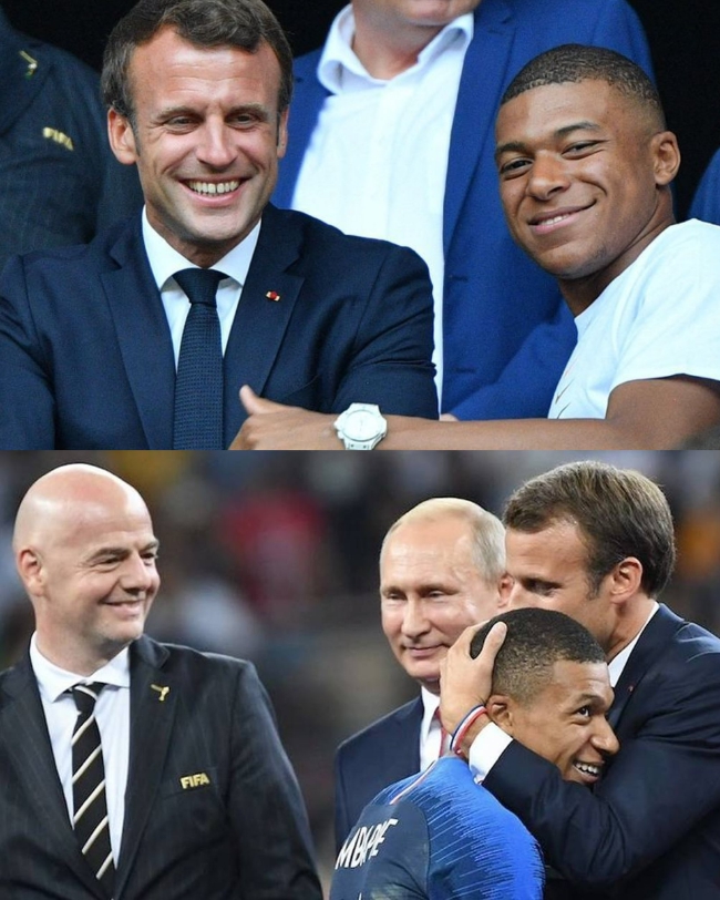 伦敦奥运马术双骄伴随爱马同日辞世 相互扶持逾二十载共谱辉煌传奇