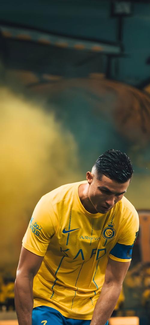 马术俱乐部难以为继，看法官如何妙解困局